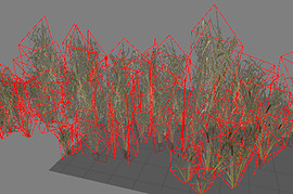 reeds_distant1