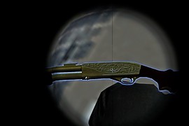 Gold_Shotty_with_without_light