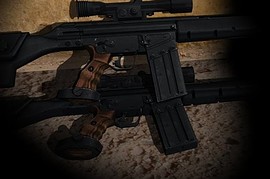 The L4D2 G3-SG1 Reanimation