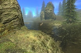 gm_forest2008