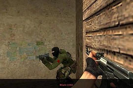 Chinese Rebel ARCTIC Skin