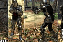 PVKII Knights