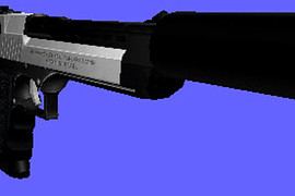 Two Toned Desert Eagle