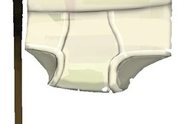 Brief Banner