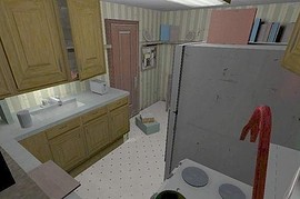 dm_roaches_wc
