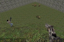 assault_in_gmod