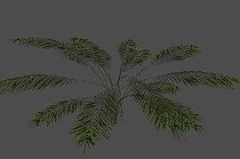 byka_bush2