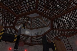 cs_whiteforest