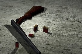 Double Barrel Shotgun