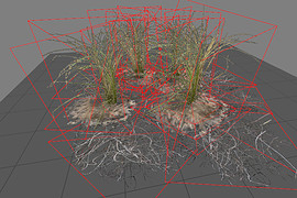 l10swamp_plant_group5