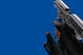 SIGARMS P226 Stainless