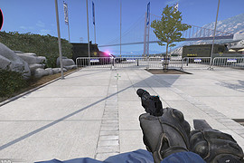 Pistol + knife