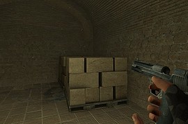 STALKER style DEagle