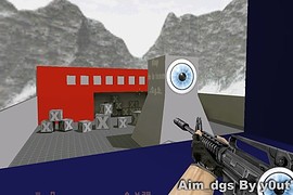 Aim_dgs