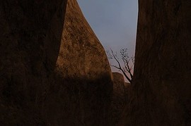 pvk_300_bot_beta3