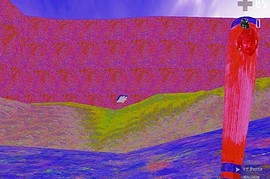 zpsz_thezoomer_b2_a3