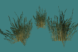 tuscan_grass1a.mdl