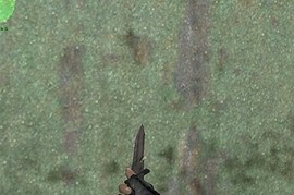 Millenia Combat Knife