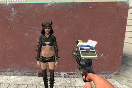 Bodygroup's Tool (Garry's Mod)
