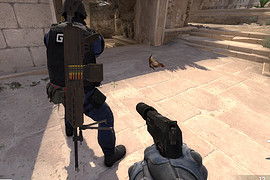 SIG MG338