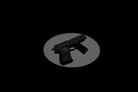 P228 Reanimation Request with phong