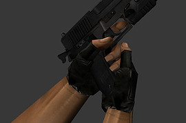 Sig P228 Torch Dark sk187