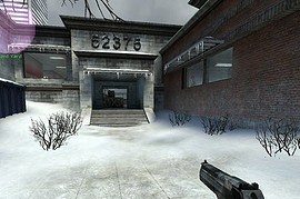 Carbon grip Deagle