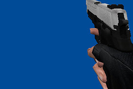 Sig Sauer P226 Black & White