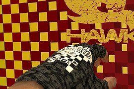 Hawk_s_gloves