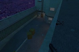 Visitors