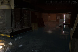 Operation Black Mesa