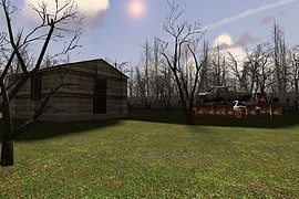 dm_woodland_b1