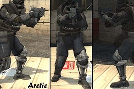 Operation Raccoon City