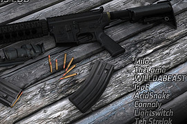 Milo_s_M4_RIS_CQB
