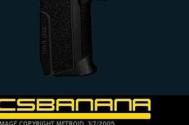 Sig Pro 2009