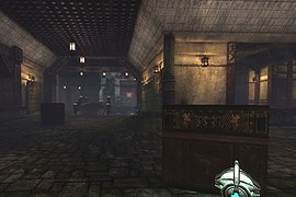 DM-Goose2k9