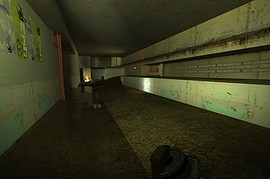 dm_section8