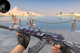 AK-47 Сhameleon