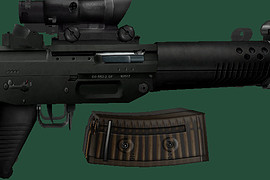 SIG 552 SD