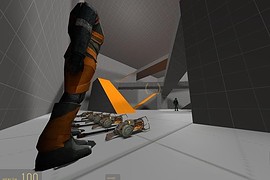 Dooleus_Arena_2