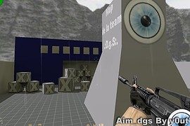 Aim_dgs