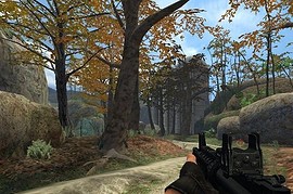 M4A1_RIS