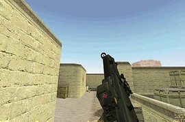 G36C with EO-tech