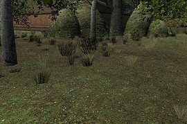 rp_city85_beta
