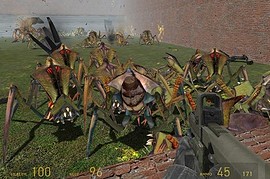 Combine vs Antlions