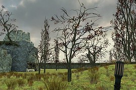 rp_combinestruct_binco_v3