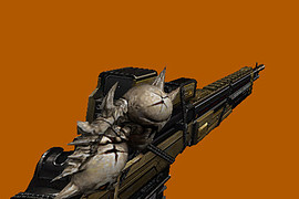CSO Skull-4