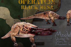 Operation Black Mesa