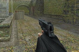 Sig Sauer P220 the tub