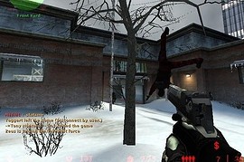 Wan's Deagle